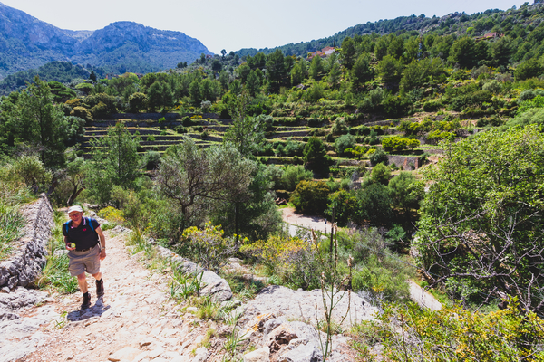 Mallorca reisduiveltje