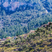 325-2018-04-27 Stappen  Deia nr Soller-9103