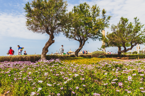 Mallorca reisduiveltje