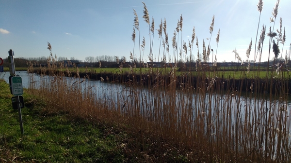 Denderleeuw Denderjaagpad