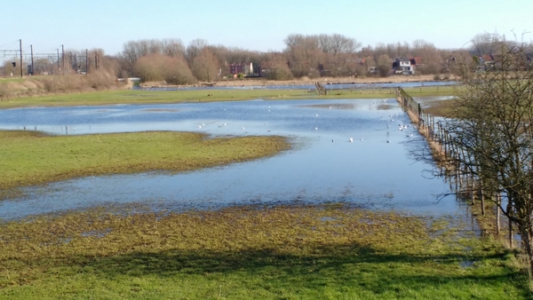 2018_02_10 Denderleeuw 09