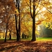 goodby-autumn-1080P-wallpaper