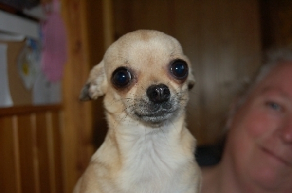 moeder kira van casimodo