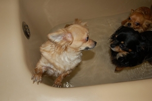 DSC_0002_1024x680