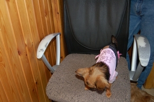 DSC_0009_1024x680