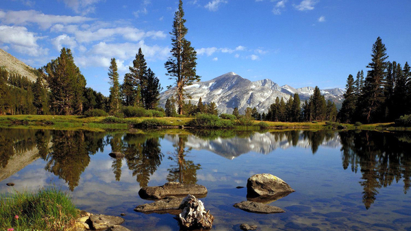 lake-woods-and-mountains-amazing-landscape-plants-widescreen-natu