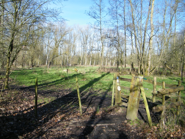 Wellemeersenpad Denderleeuw