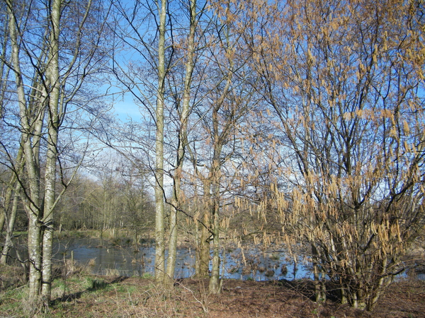 Wellemeersenpad Denderleeuw