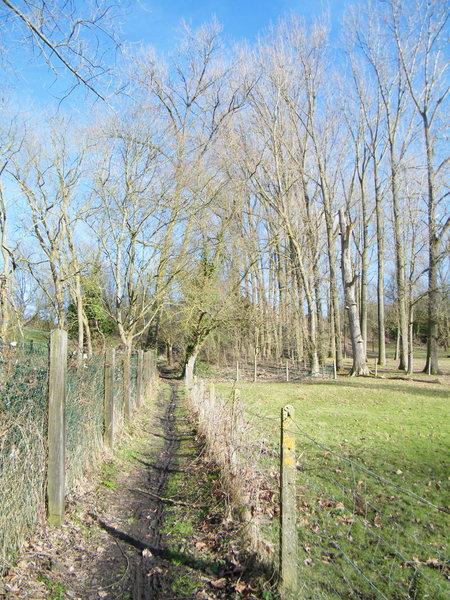 Wellemeersenpad Denderleeuw