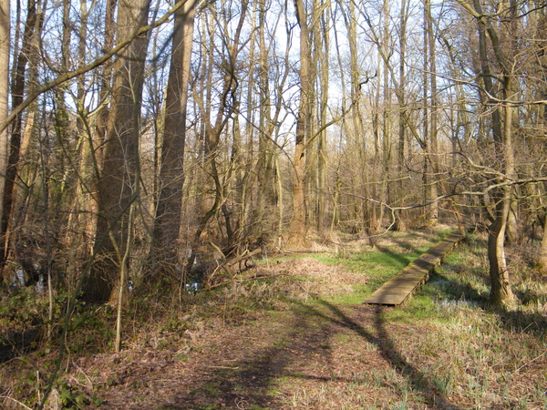 Wellemeersenpad Denderleeuw