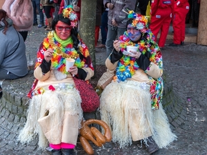 Aalst Carnaval (036)-p