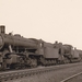 NS 4372 Venlo 18-04-1954 Achter de loc achtereenvolgens NS 3910, 