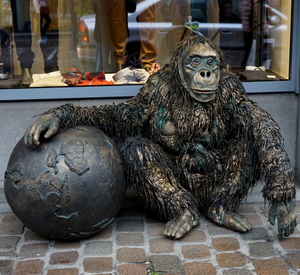 Xavier(Aap op Straat)