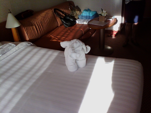 IMG_20160608_194626 - kopie