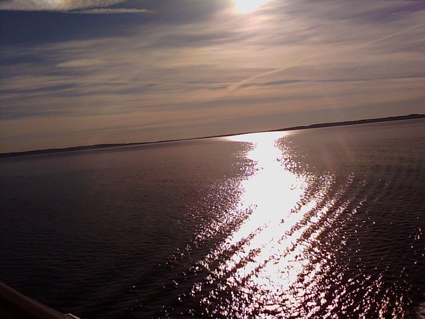 IMG_20160609_072414 - kopie