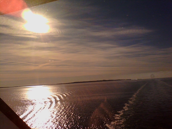 IMG_20160609_072942 - kopie