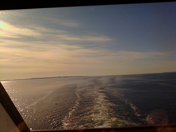 IMG_20160609_073634 - kopie