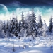 Winter_Snowy_forest_hd_backgrounds