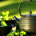 Cast_iron_teapot