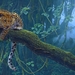 hd-wallpaper-with-a-leopard-on-a-branch-in-the-forest