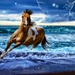 Fantastic_horse_computer_backgrounds