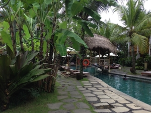 Alaya Resort Ubud