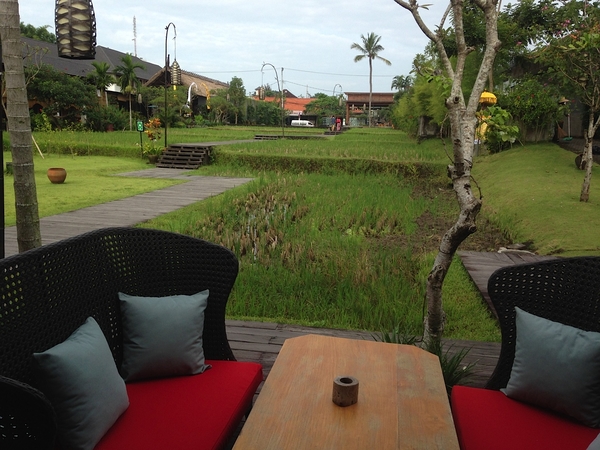 Alaya Resort Ubud