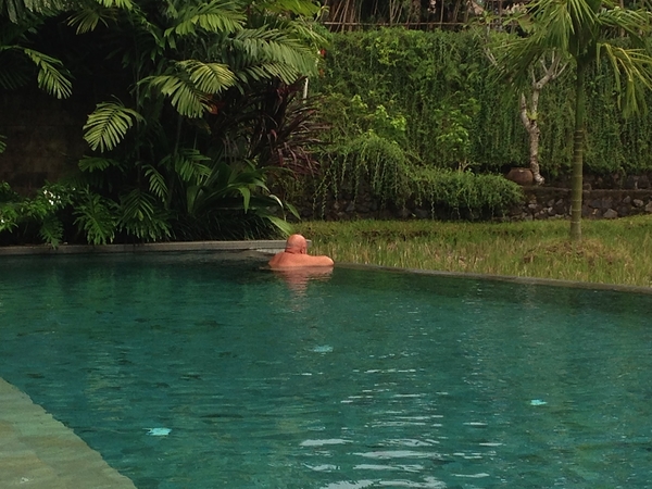 Alaya Resort Ubud