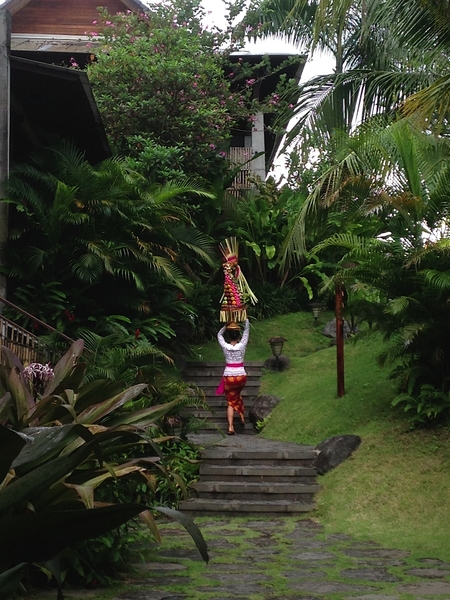 Alaya Resort Ubud