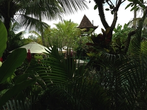 Alaya Resort Ubud