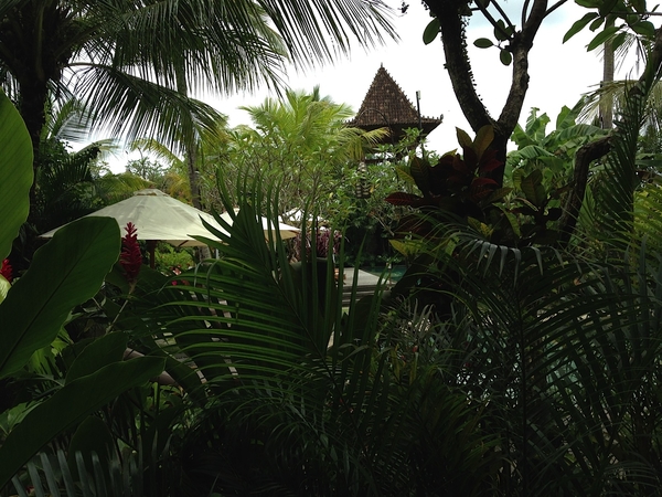 Alaya Resort Ubud