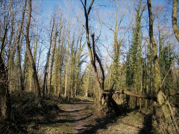 Wellemeersen Denderleeuw