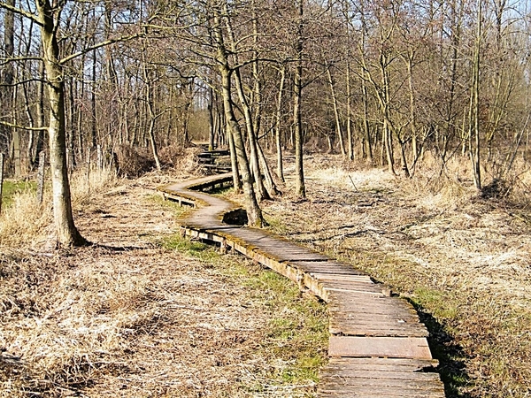 Wellemeersen Denderleeuw