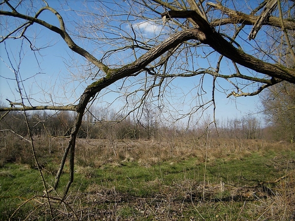 Wellemeersen Denderleeuw