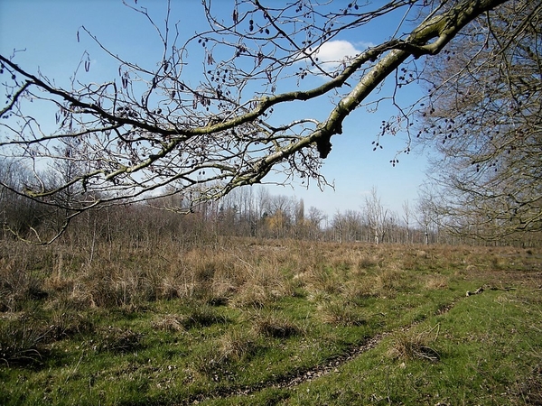 Wellemeersen Denderleeuw