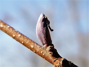 2018_02_28 Wellemeersen 16