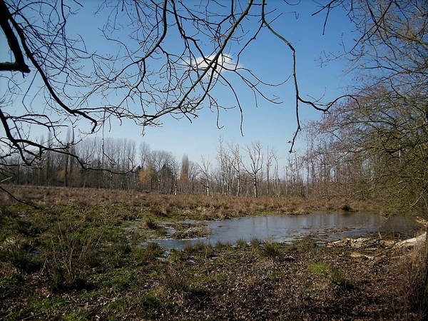 Wellemeersen Denderleeuw