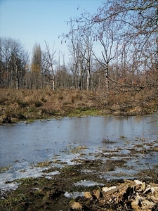 2018_02_28 Wellemeersen 19