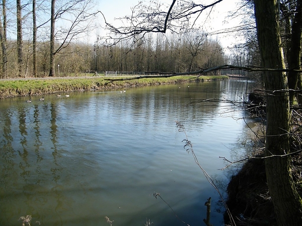 Wellemeersen Denderleeuw