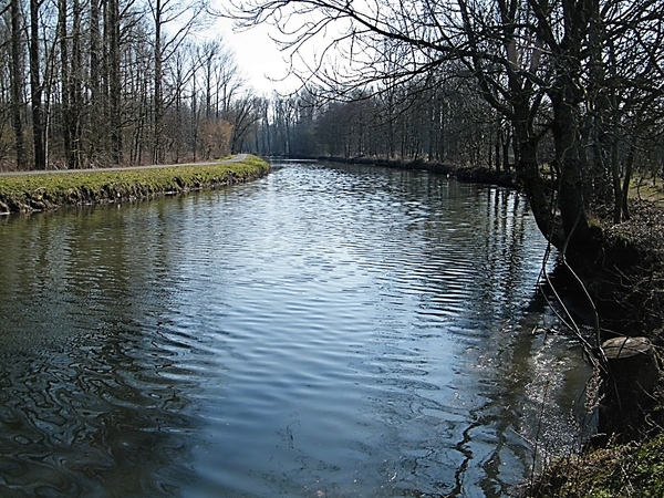 Wellemeersen Denderleeuw