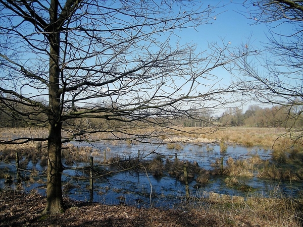 Wellemeersen Denderleeuw