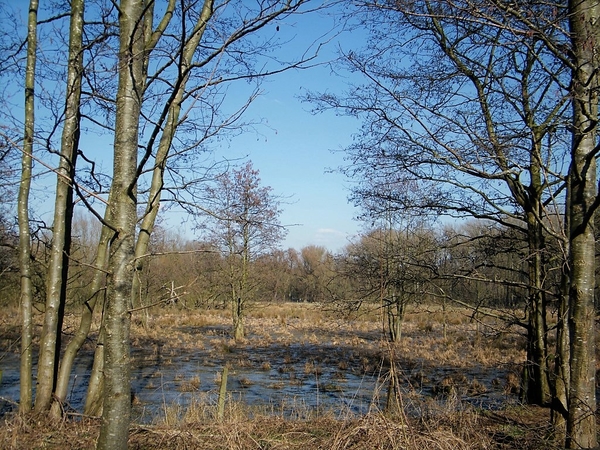 Wellemeersen Denderleeuw