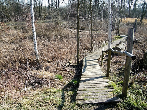 Wellemeersen Denderleeuw