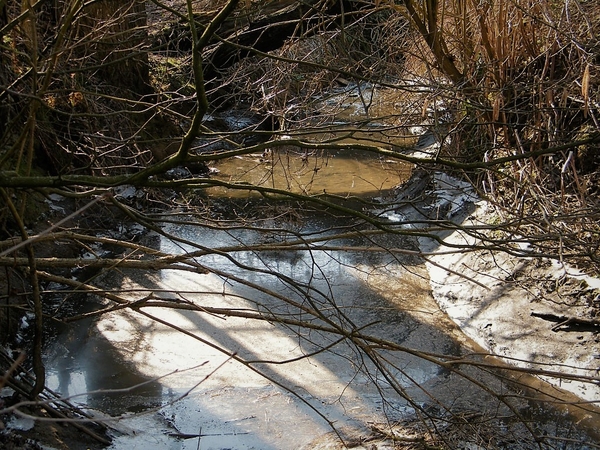 2018_02_28 Wellemeersen 43