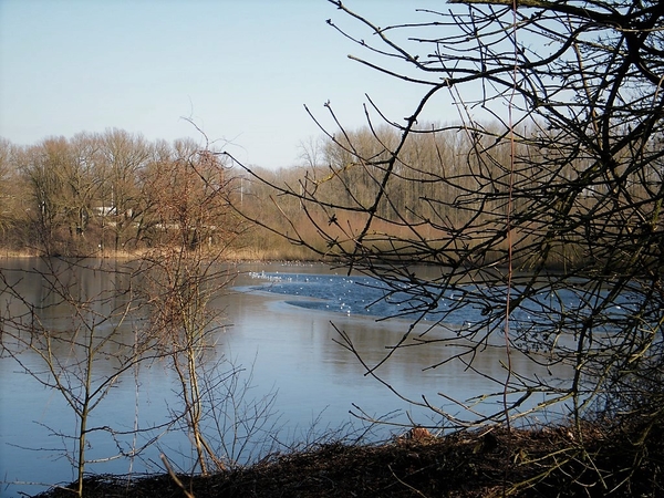 Wellemeersen Denderleeuw