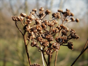 2018_02_28 Wellemeersen 47