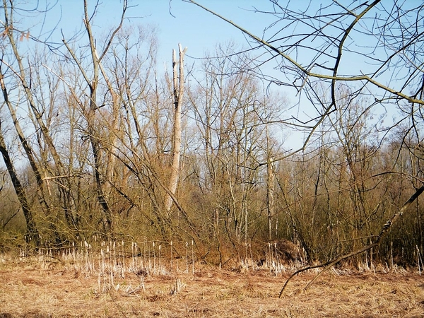 Wellemeersen Denderleeuw