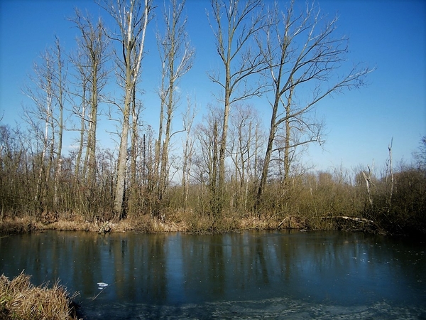 Wellemeersen Denderleeuw