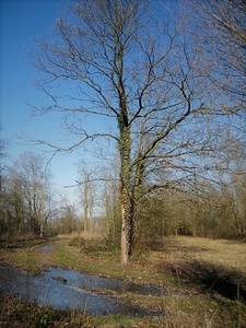 2018_02_28 Wellemeersen 53