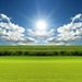 sunny-green-field_457563120